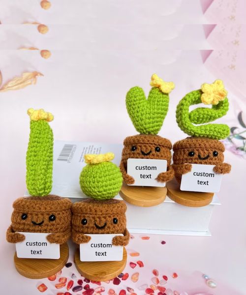 anpassbare Liebe Kaktus Pflanze